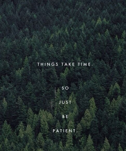 50 Beautiful and Wise Quotes About Patience With Images ...