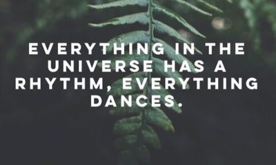 Everything Dances