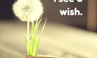 I See A Wish