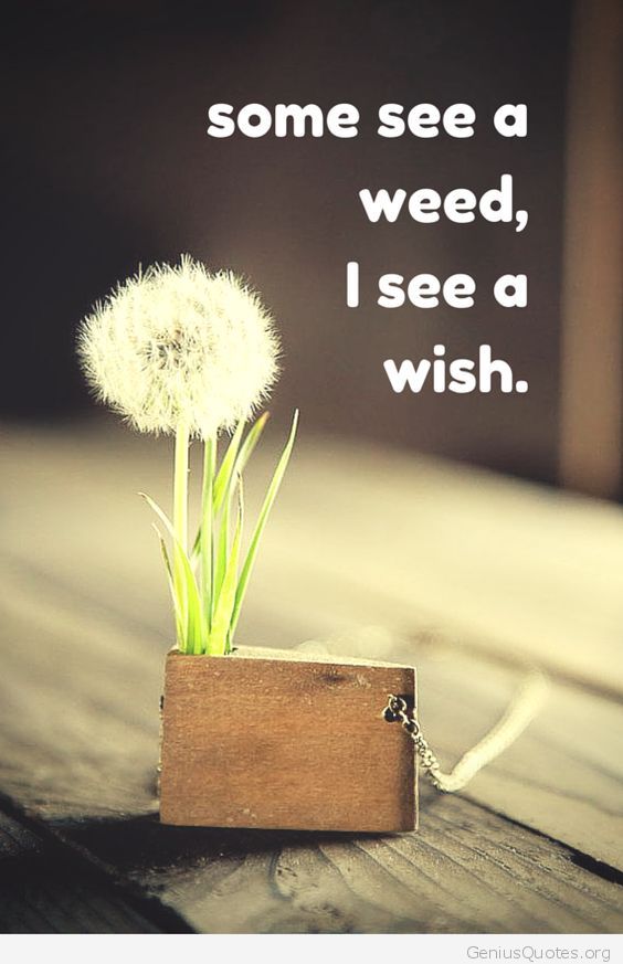 I See A Wish