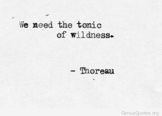 The Tonic Of Wildness