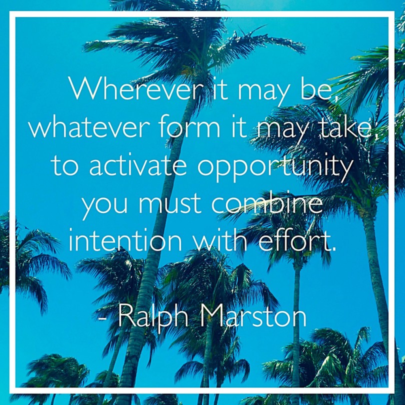 Wherever it may be, whatever form it may take, to activate opportunity you must combine intention with effort. - Ralph Marston