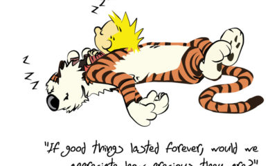 Appreciate Presious Things Calin Hobbes Daily Quote Sayings Pictures