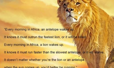 Better Be Running African Proverb Daily Quotes Sayings Pictures