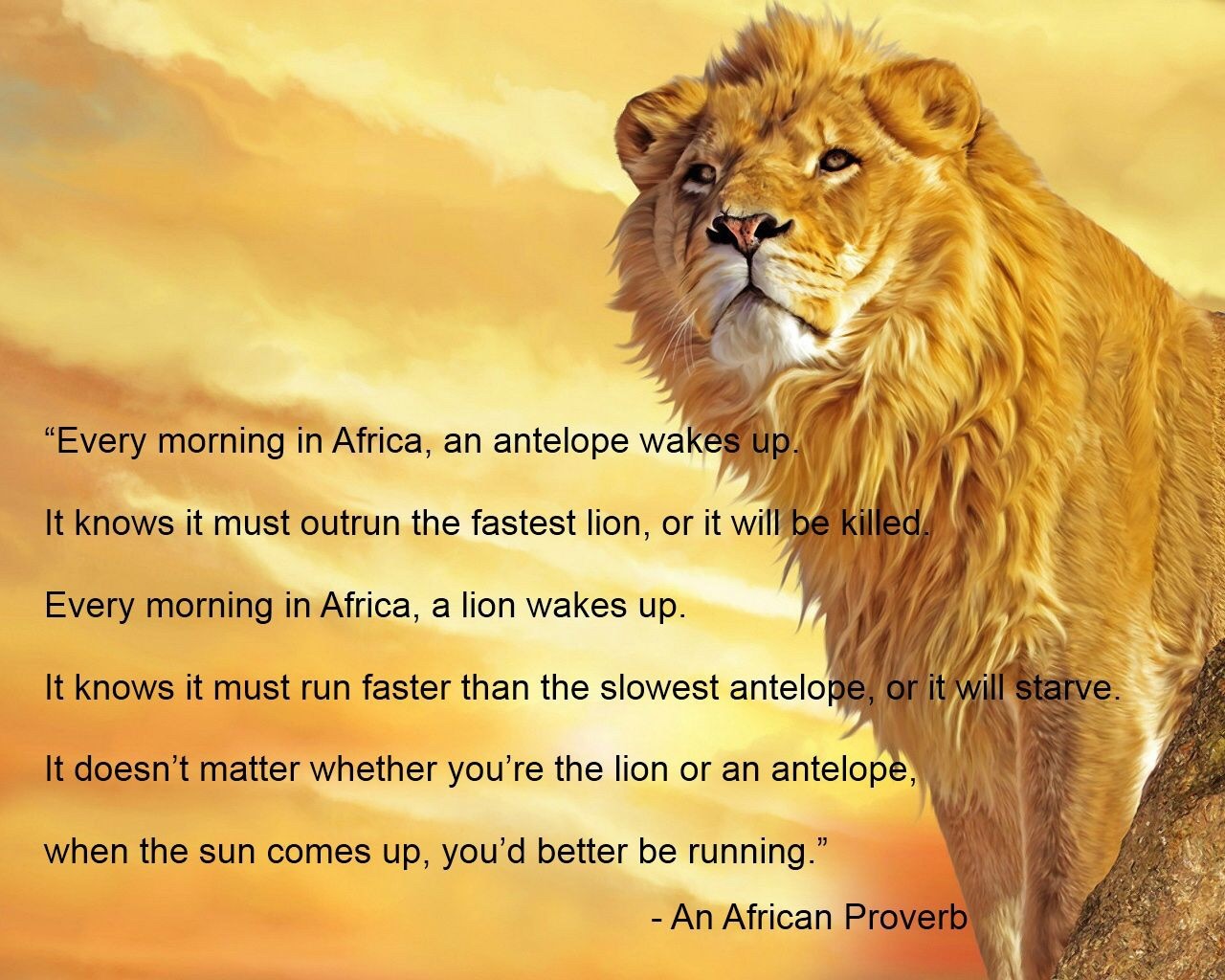Better Be Running African Proverb Daily Quotes Sayings Pictures