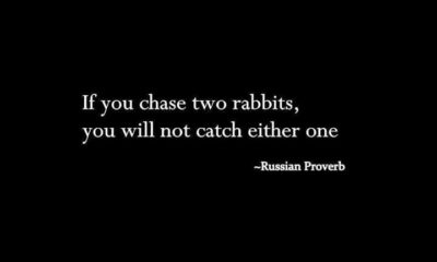 Chase Two Rabbits