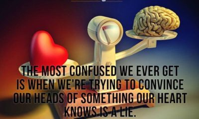 Convince Our Heads