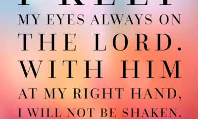 I Will Not Be Shaken