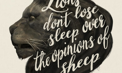 Lions Dont Lose Sleep