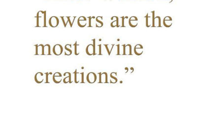 Most Divine Creations