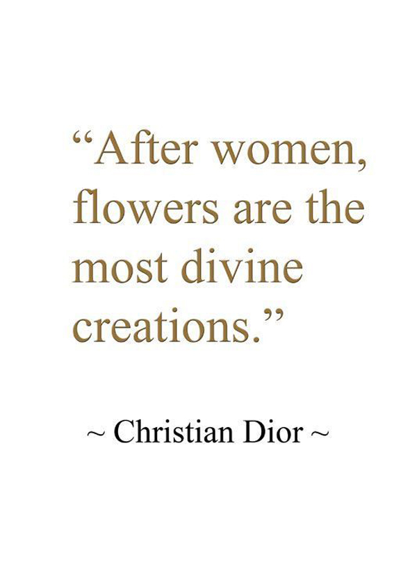 Most Divine Creations