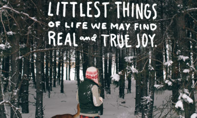 Real And True Joy Life Daily Quotes Sayings Pictures