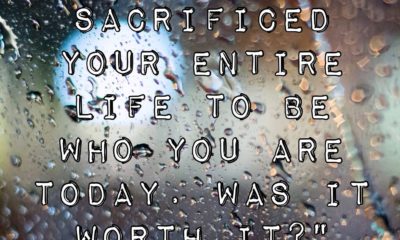 Sacrificed Your Life Richard Bach Daily Quotes Sayings Pictures