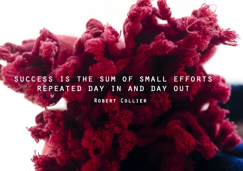 Success is the sum of small efforts repeated day in and day out. - Robert Collier
