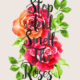 Smell The Roses