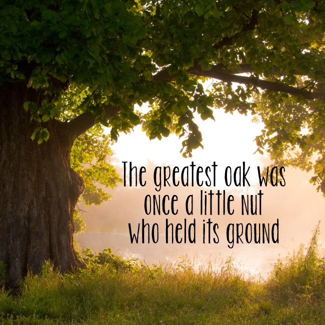 The Greatest Oak