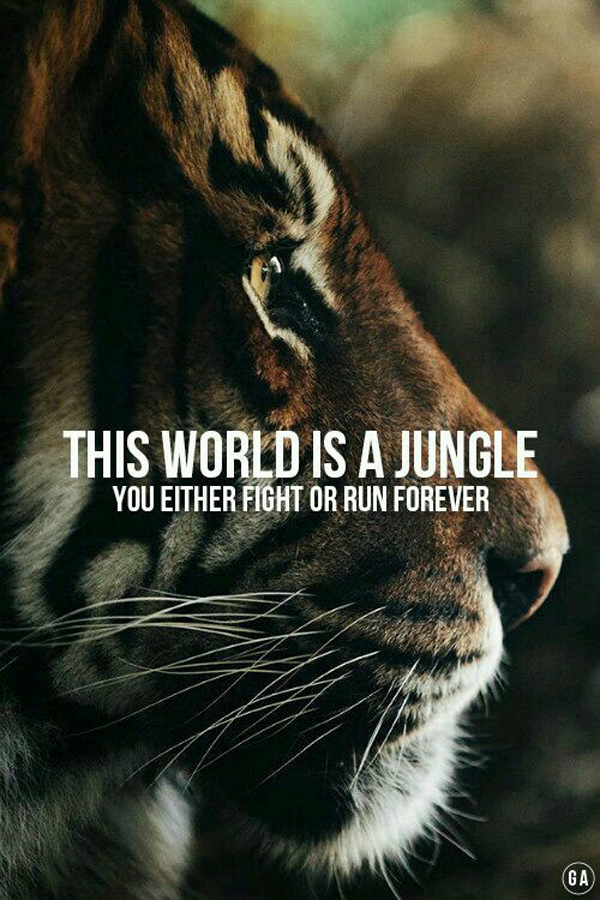 This World Is A Jungle