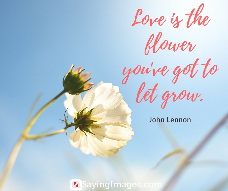 flowers quotes love