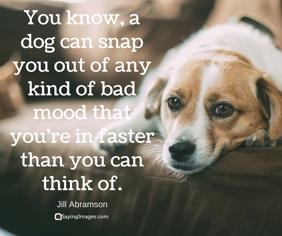 dog love quotes