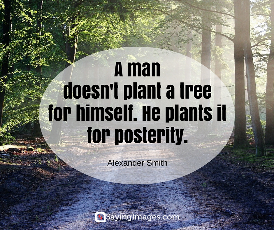 best tree quotes