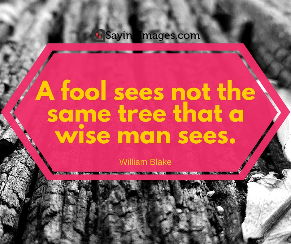 quotation on trees