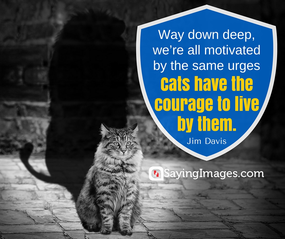 quotes cats