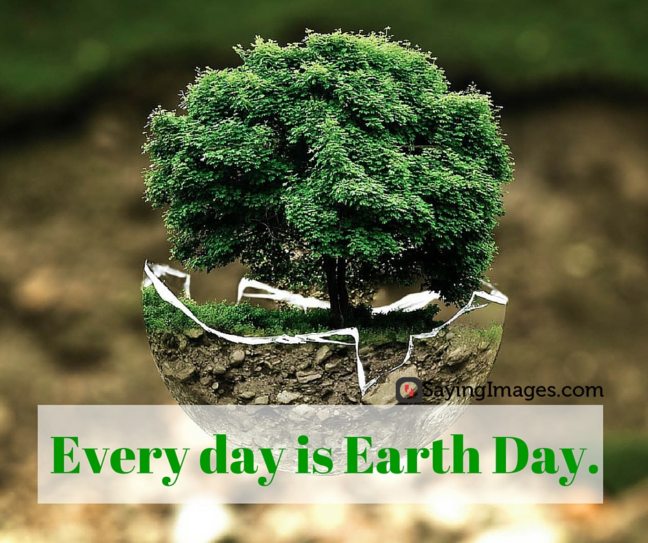 quotes on save earth