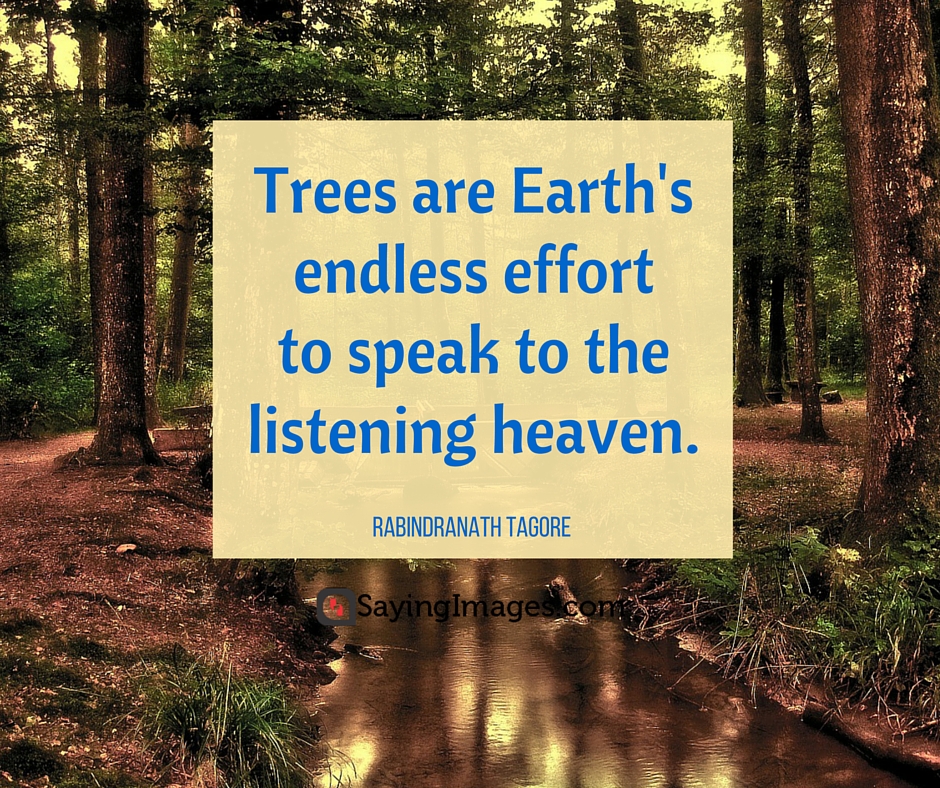 earth quotes