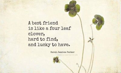 1484810575 233 A Best Friend