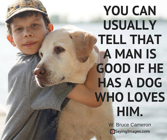 dog quotes best friend