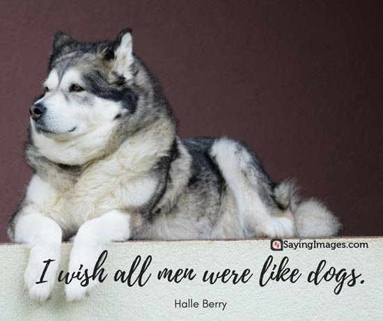 dog and man quotes