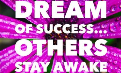 1485311498 864 Dream Of Success