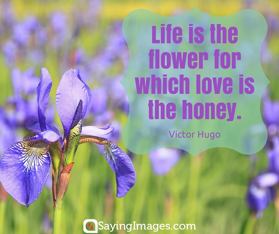 flower quote