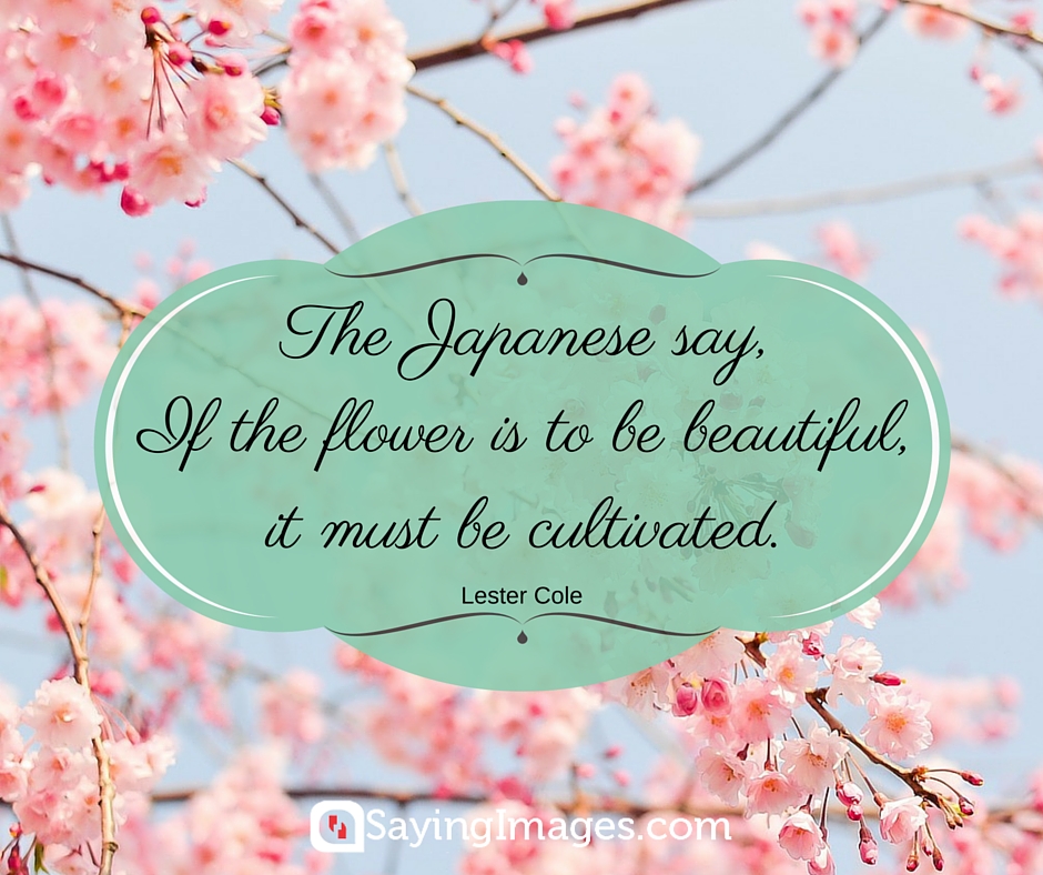 flowers quotes