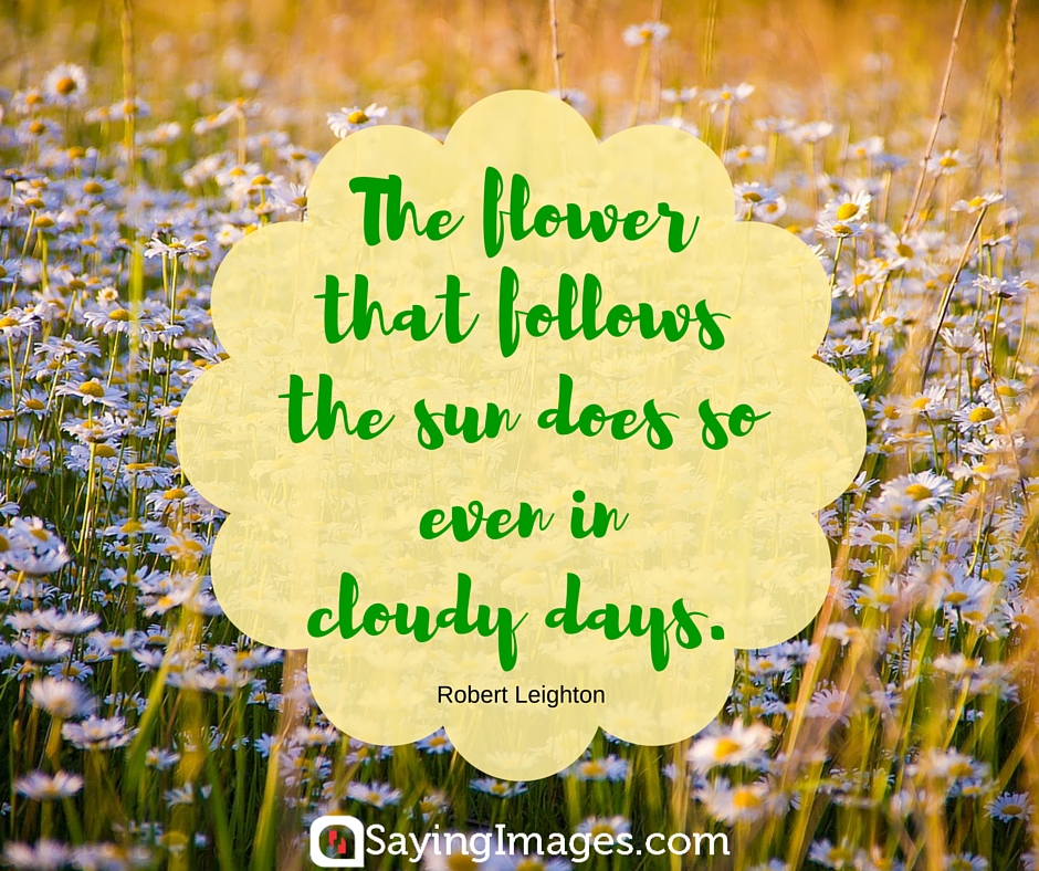 love flower quotes