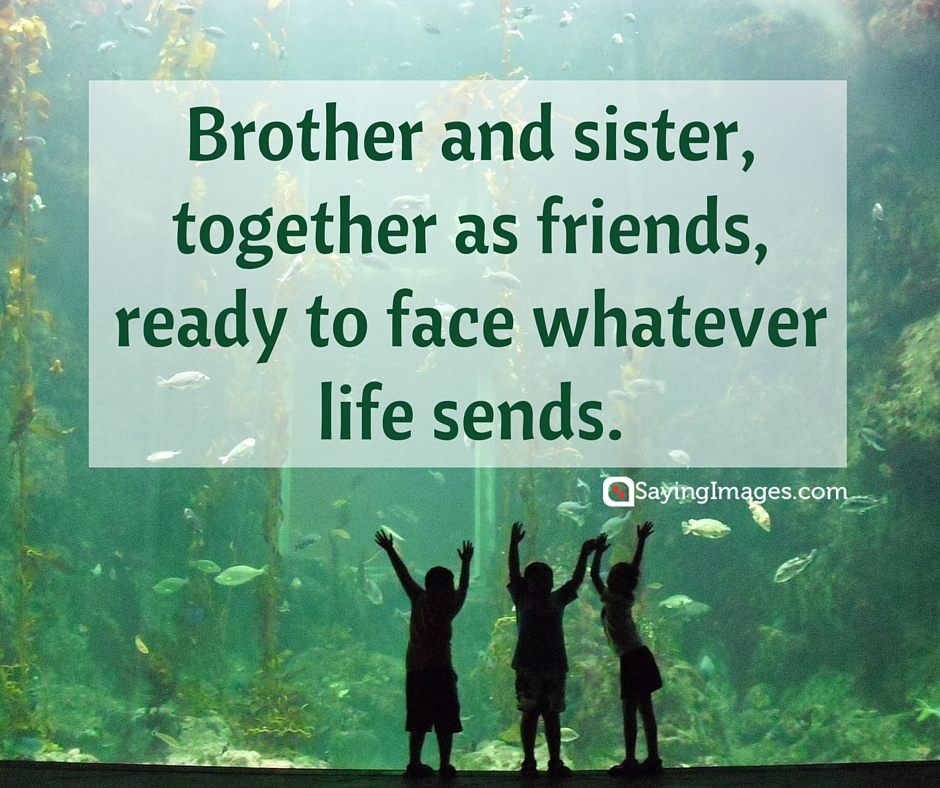 sibling quote
