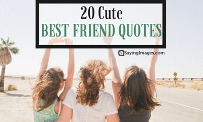 20 Cute Best Friend Quotes