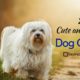 20 Cute Famous Dog Quotes