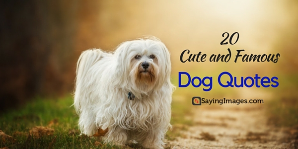 20 Cute Famous Dog Quotes
