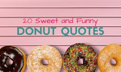 20 Sweet And Funny Donut Quotes