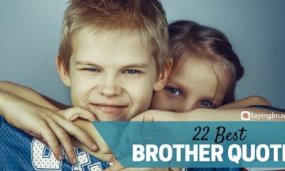 22 Best Brother Quotes