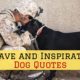 23 Brave And Inspirational Dog Quotes