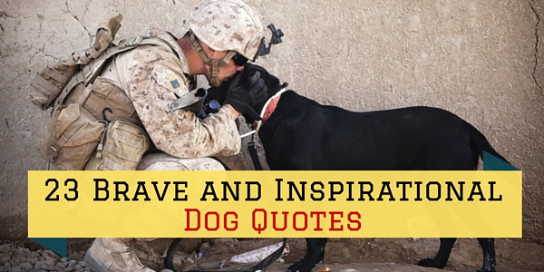23 Brave And Inspirational Dog Quotes