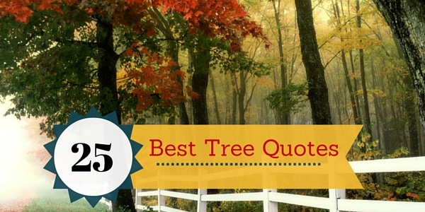 25 Best Tree Quotes