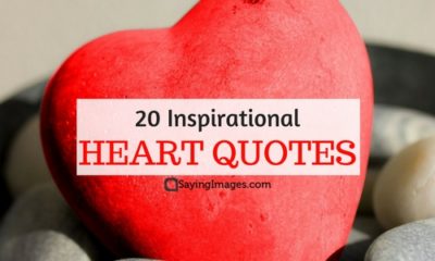 25 Inspirational Heart Quotes