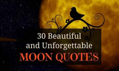 30 Beautiful And Unforgettable Moon Quotes