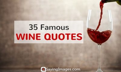 35 Famous Wine Quotes