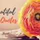 42 Beautiful Flower Quotes