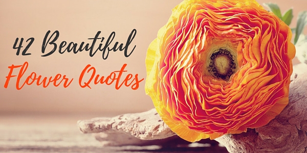 42 Beautiful Flower Quotes