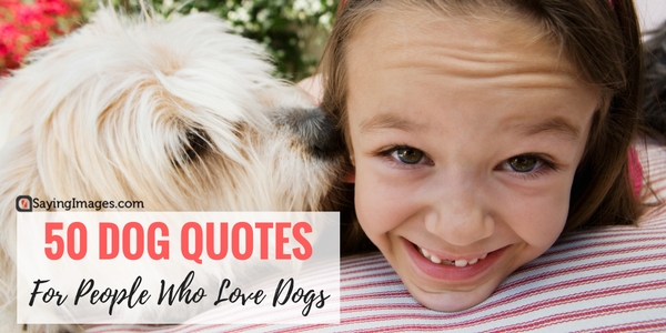 50 Dog Quotes For People Who Love Dogs